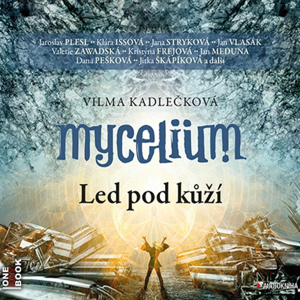 Mycelium - Led pod kůží