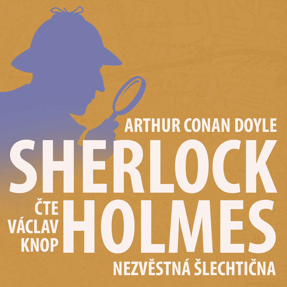 Nezvěstná šlechtična