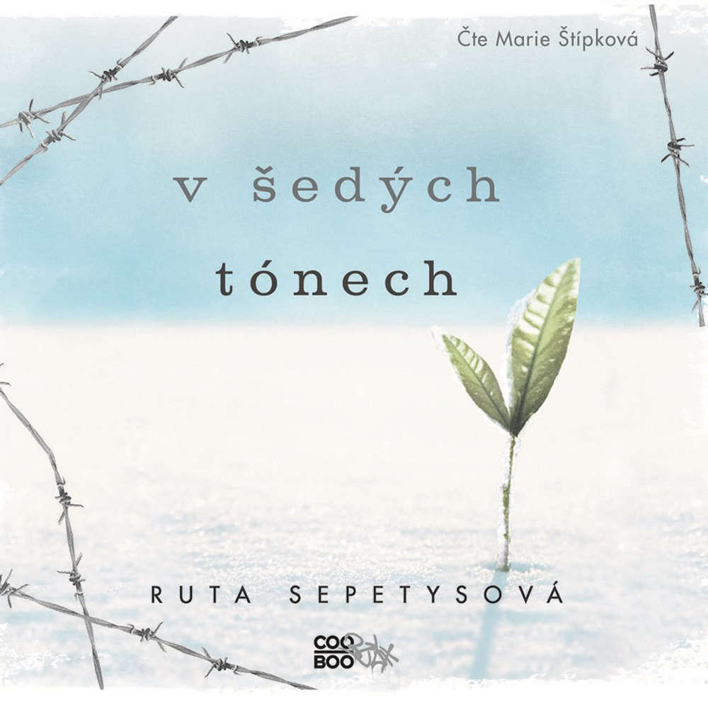 V šedých tónech