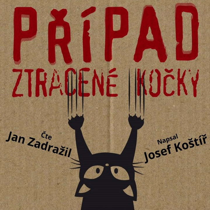 Budování literatury zdola