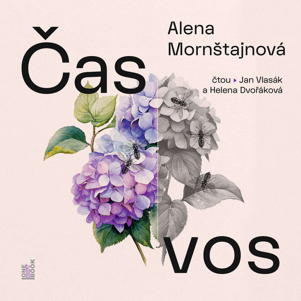 Čas vos