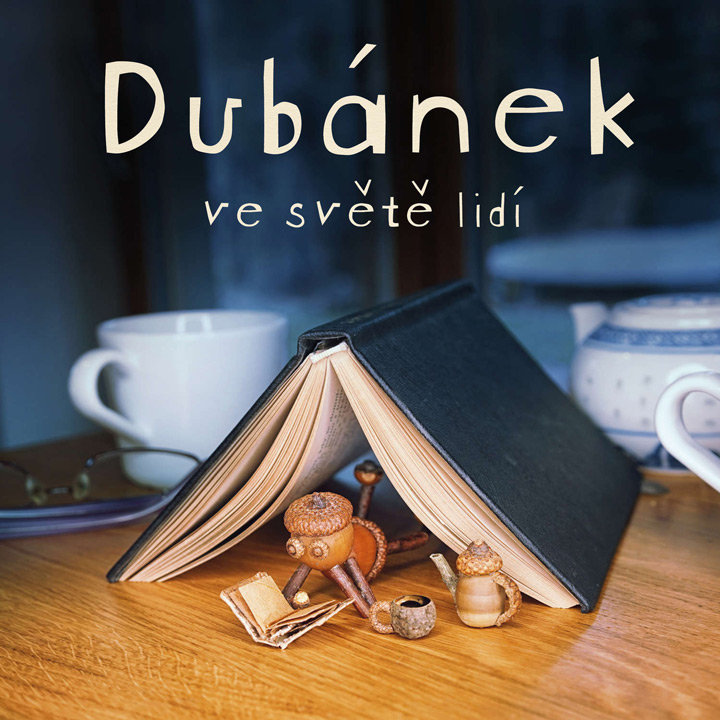 Velké dobrodružství dubového mužíčka Borka