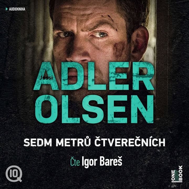 Poslední výlet do Kodaně s Igorem Barešem