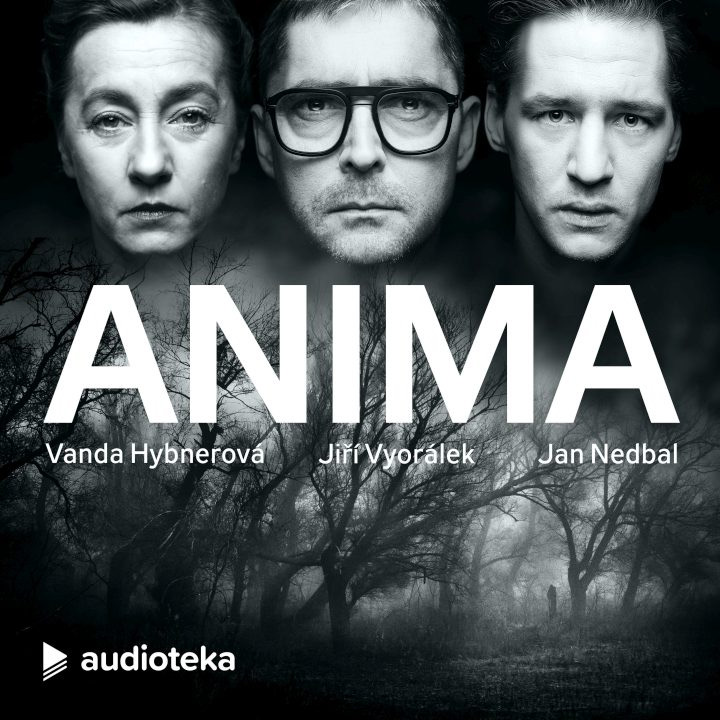 Vyšetřování naslepo
