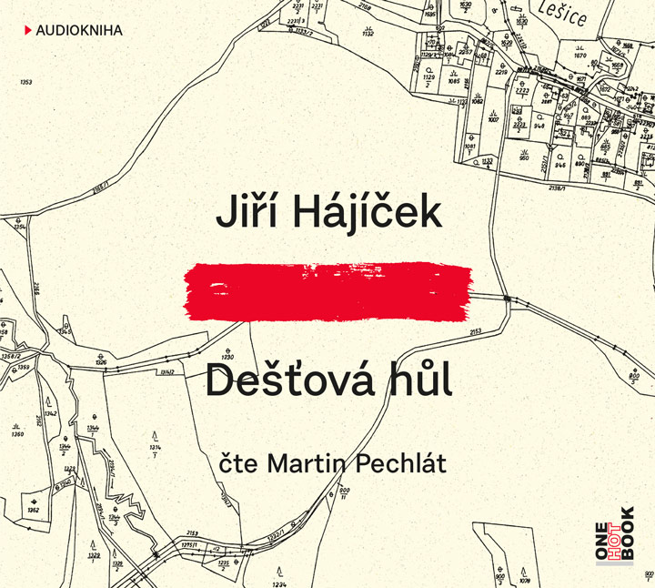 Dešťová hůl