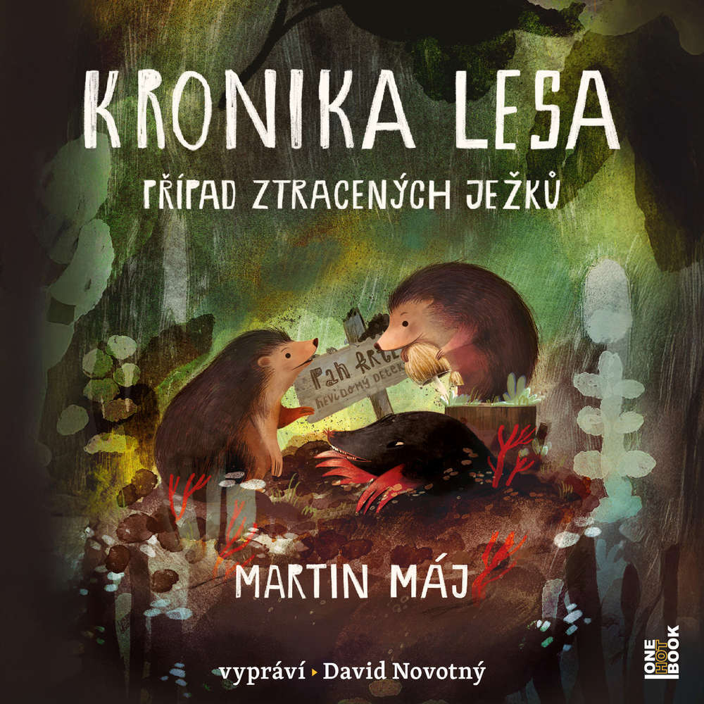 Nevšední detektivka s neobvyklým vyšetřovatelem