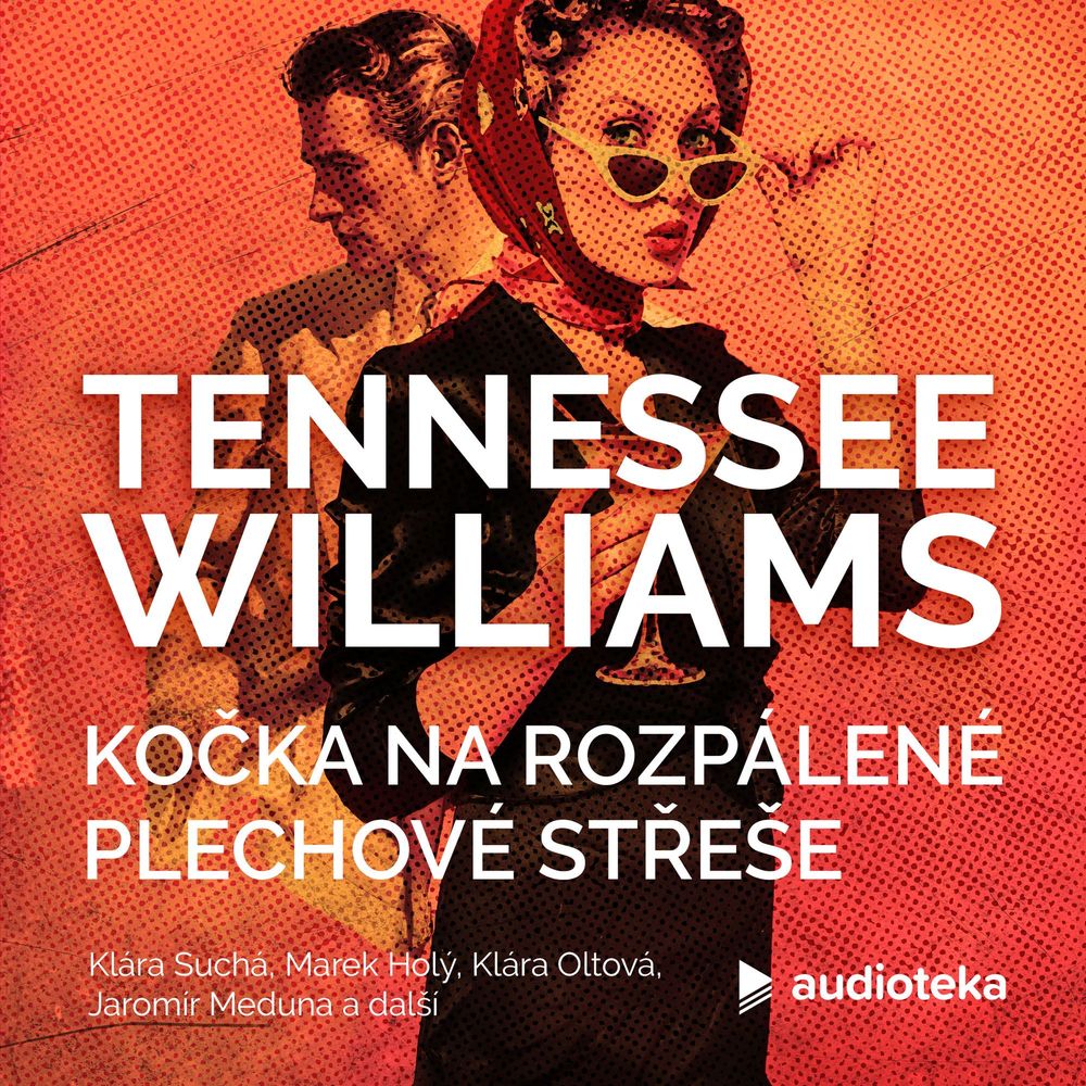 Kočka na rozpálené plechové střeše